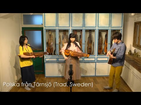 Polska från Tärnsjö performed by ResonoTrio